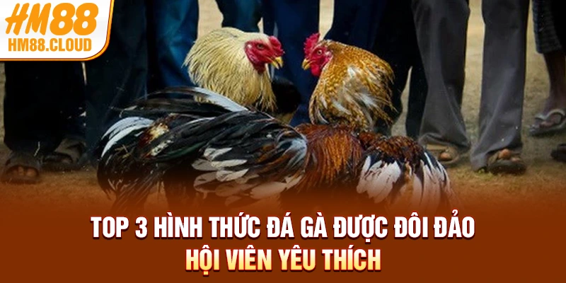 Top 3 hình thức đá gà được đôi đảo hội viên yêu thích